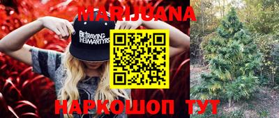 PSILOCYBIN Беслан
