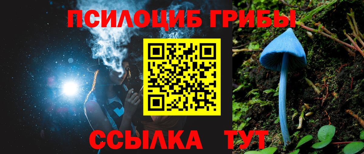 Галлюциногенные грибы GOLDEN TEACHER Клин